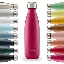 블룸탈 음료수 병 찰스 - 누출 방지 BPA 프리 따뜻한 음료와 차가운 음료의 보온 시간 750ml, 15-베리-핑크