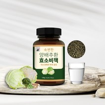 속편한 양배추환 효소비책 120g, 02. 120gx2병+1병덤(총3병), 3개