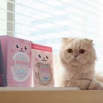 스토어봄 캣츠모리 고양이 덴탈껌 와이어츄 닭고기맛 1box-캣츠모리