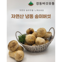 [경동버섯유통 송이 능이]자연산 송이버섯/ 냉동 1pk 냉동송이/L M S 2S 3S C/1kg, L, 1개