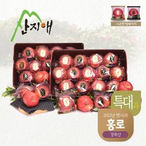 [산지애] 사과 특대과 4kg+4kg(20-26과), 단품