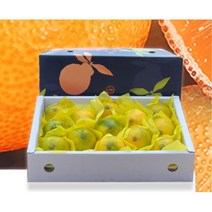 제주 황금향 추석 과일 선물 새해선물 명절과일 40대, 제주 황금향_선물용_5kg 대과(10/15과 내외)