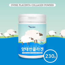 저분자 양태반 플라센타 콜라겐 분말 가루 고함량 먹는 태반 단백질 아미노산 중년 여성 남성 갱년기 성장기 효능 호주산, 1개, 230g