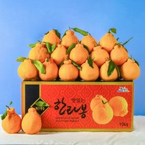 [당도보장] 달콤한 제주 한라봉 2.5kg 5kg 10kg 선물세트 제주도 한라봉 벌크형, 1box, 2.5kg 7-10과