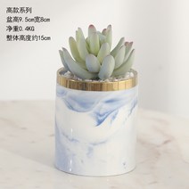 조화 다육 화분 선인장 실내 거실 테이블 소품 장식, 09. 키 큰 화분 A