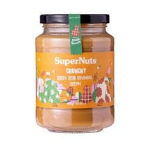슈퍼너츠 10 땅콩 피넛버터 크런치 460g 1개