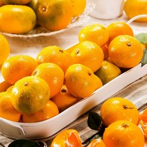 노지 새코미 감귤 10kg 특대과 제주산, 1개