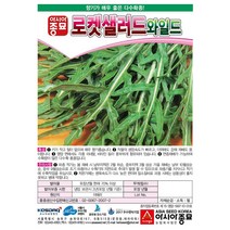 [모종심는아빠] 향기가 매우 좋은 다수확종 루꼴라 로켓샐러드와일드 씨앗 12g