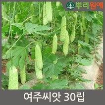여주씨앗 30립