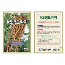 (씨앗) KS백도라지 1000립 종자 도라지씨 KS종묘 채소재배, 1개