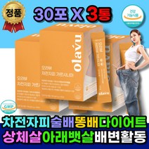 50대 차전자피 배변활동 술배 뱃살 허리살 다이어트 탄수화물 차단제 여자 가르시니아 식 약 청 체지방감소 상체살 허리살 팔뚝살 아랫배 아래뱃살 HCA 보조제 살 빼는 방 법 남자 여자