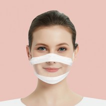 이피다투명창마스크 10매입 입 보이는 방송 청각장애인 수화 수업 강의 언어 교육 대량주문가능, 더조은투명창마스크개별포장-5매_대형L