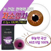 자소엽차 차즈기 추출물 무농약 100 국산 차즈기잎 차 생 자소엽 잎 차조기 허브 눈 티백 티메이징 침출차 보랏빛 친환경 눈건강 루테올린 항산화 면역력 망막 에 좋은 보라차 차주기, 1개-도레미
