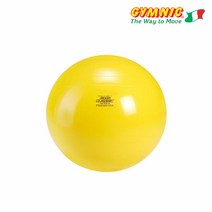 짐닉 클래식 짐볼 45cm 노랑, 단품