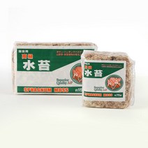 칠레산 고급 수태 압축 수태 프리미엄 이끼 150g, 단품