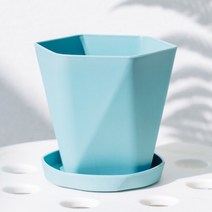 작은 소소한 상추 대파 방울토마토 미니 화분 1 pcs 플라스틱 새로운 기하학적 북유럽, m, 푸른