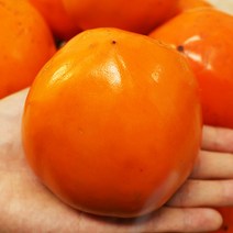 대봉감 대봉감홍시 대봉감 10kg 5kg, 대봉감 10kg 31-39과