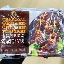 노브랜드 숯불 데리야끼 닭꼬치 800g x 1개, 아이스보냉백포장