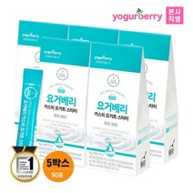 요거베리 카스피 요거트 스타터 5박스 요거트만들기 요거트파우, 2g, 50개