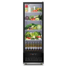 설빙고 식당 냉장고 가정용냉장기 업소냉장고 슬러시, 과일가게-230L-LG-300ZH1