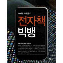 E 북 르네상스 전자책 빅뱅, 이담북스, 이용준