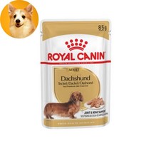 어덜트 닥스훈트 관절건강 습식 사료 파우치 강아지피부사료강아지밥 개밥