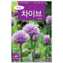 차이브씨앗 400립 허브씨앗 (C0210)