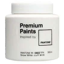 펜톤페인트 300ml 소량 화이트 페인트 소품 액자 가구 페인트
