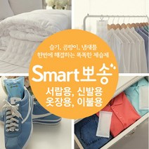 스마트뽀송 천연 실리카겔 제습제 4세트 4종중 택1, 옷장용(2p) 4개