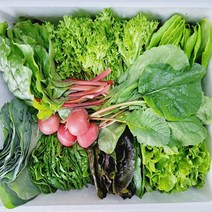 무농약 친환경 수경재배 쌈&샐러드채소(1kg), 1박스, 1kg