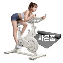 레저렛 헬스 자전거 가정용 실내 싸이클 스핀 바이크 스피닝 요가매트 증정, 프리미엄형