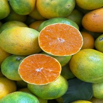 탐라인 제주 극조생 로얄과 10kg내외, 1box, 10kg