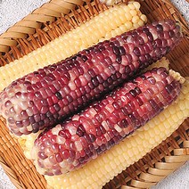 [산지발송]김동식님의 삶은 냉동 흑찰옥수수 12개(4개씩 포장/13, 단품