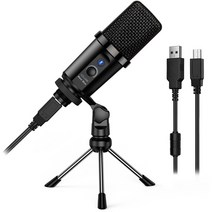 꿀벌 USB 마이크 콘덴서 마이크 전문 마이크 스튜디오 포드 캐스팅 게임 스트리밍 녹음 충격 마운트, 01 DM19