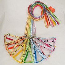 조깅 애견하네스세트 미니핀 세트 보스턴테리어 비글, 상세페이지 참조