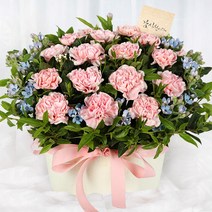 전국당일도착 카네이션 꽃바구니 생화 화분 꽃다발 선물 어버이날 스승의날 당일 꽃배달 서비스 (99플라워), 11.[A1737]-감사한마음으로