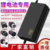 리튬 배터리 전기차 충전기 48V3A36V60V5A24V2A72볼트 이온 할리 밸런스 자전거 스케이드보드, 향상된 60V5A(67.2v) 포트(기타