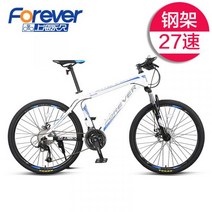 산악 사바파이크 팻바이크 자이언트 giant 펫 mtb 티타늄자전거 스타일 STYLE, 24 단스틸 프레임R, 24인치