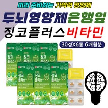 60대 여성 기억력 영양제 은행잎 코큐텐 엽산 커큐민 부모님 혈행 혈액 혈류 혈관 에좋은 보충제 보조제 포스파티딜세린 PS 핵산 코발라민 비타민 B9 B12 코엔자임큐텐 천연 자연