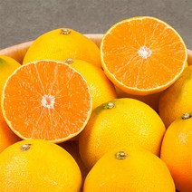 제주 황금향 1.5kg 대과(5-6과내), 단품