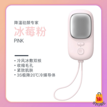 쿨링마사지기 핸드 아이스 스킨쿨러 모공케어 usb, 옵션1