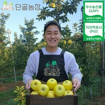 청송 2022년 우수농산물(GAP) 인증 햇 황금사과 시나노골드, 정품 / 8kg / 22~28과 / 대과