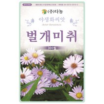 벌노랑이 3g - 야생화 씨앗 꽃씨 씨 꽃씨앗 벌노랑이씨앗 벌노랑이씨 다년생 여러해살이 야생화씨 야생화씨앗 꽃 노랑돌콩, 23_다농_벌개미취(300립)