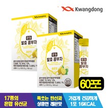 광동생활건강 광동 발효 콤부차 2박스(박스당5g x 30포), 30포