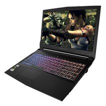 한성컴퓨터 게이밍 EH58 BossMonster STORM87 노트북 (i7-8700 39.62cm GeForce GTX 1060) 240GB 8GB Free DOS 코어i7 혼합 색상 240GB, 480GB