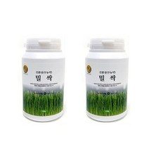 영누리 밀싹분말 국내산 친환경 무농약 실속형 100g 2통, 단품, 단품