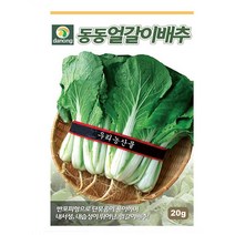 동동얼갈이배추 20g-D