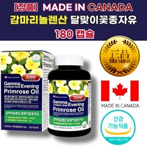 감마리놀렌산 달맞이꽃 종자유 효과 효능 여성 중년 갱년기 수면 자궁에 좋은 영양제 낮은 HDL 콜레스테롤