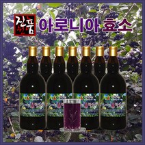 장녹원 아로니아효소 1100ml, 2병