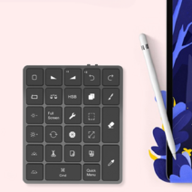 프로크리에이트 블루투스 키보드 키패드 심플 27키 FUNKING FBK28 procreate, B 메탈 그레이, 상세 페이지 참고, 메탈 그레이 블루투스 27키공식 규격없음